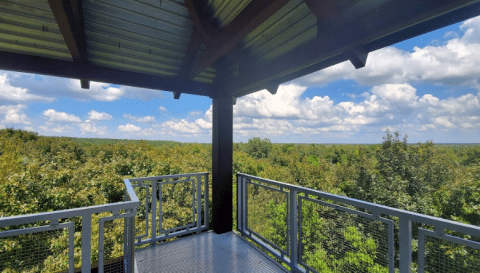 The View From This Little-Known Overlook In Florida Is Almost Too Beautiful For Words