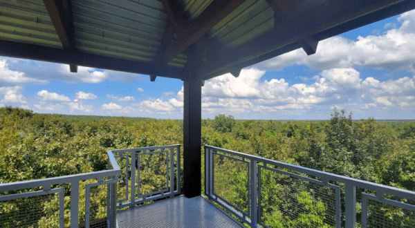 The View From This Little-Known Overlook In Florida Is Almost Too Beautiful For Words