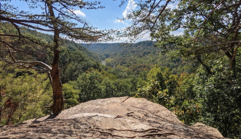 The View From This Little-Known Overlook In Ohio Is Almost Too Beautiful For Words