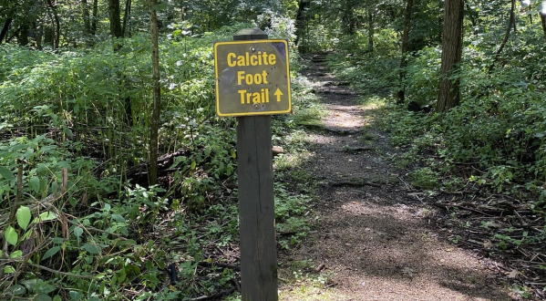 The One Loop Trail In Iowa That’s Perfect For A Short Hike, No Matter The Season