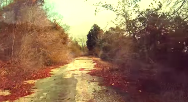 The Remnants Of The Abandoned Kings Highway In South Carolina Are Hauntingly Beautiful