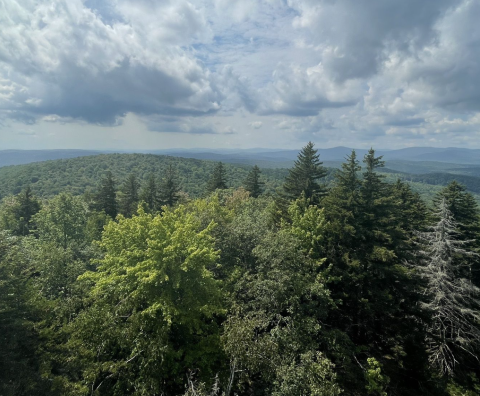 The One Loop Trail In Vermont That's Perfect For A Short Day Hike, No Matter What Time Of Year