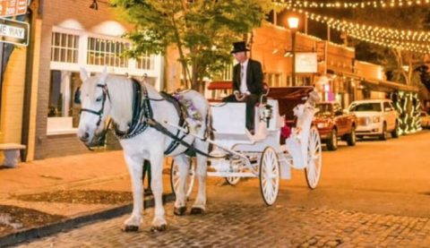 See The Charming Town Of Raleigh In North Carolina Like Never Before On This Delightful Carriage Ride