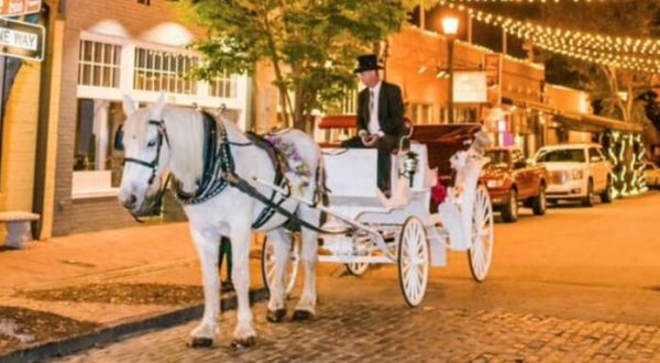 See The Charming Town Of Raleigh In North Carolina Like Never Before On This Delightful Carriage Ride