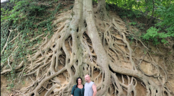 Here’s The Story Behind The Medusa Tree In South Carolina