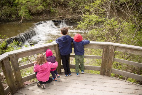 Enjoy A Prehistoric Adventure With Your Family On This Trail In Ohio That's Rich With Remnants From The Past