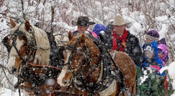 See Bozeman, Montana Like Never Before On This Delightful Sleigh Ride