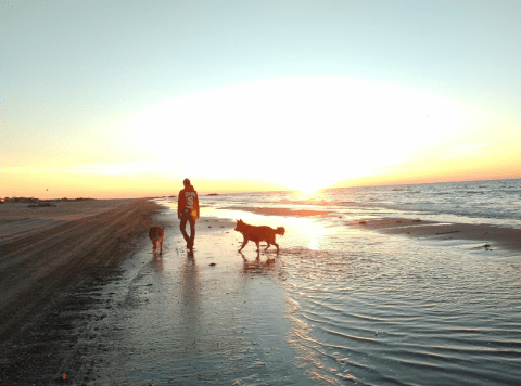 Watch The Sunrise Or Sunset At Grand Isle Beach, A Unique Dog-Friendly Beach In Louisiana
