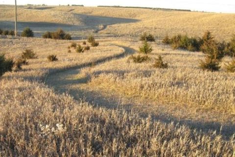The Easy 2.1-Mile Oldfather Trail Will Lead You Through The Nebraska Prairie