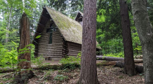 Enjoy A Contemplative Stroll In An Old Growth Forest Along This Underrated Trail In Michigan