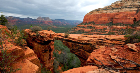8 Easy And Beautiful Spring Hikes Everyone In Arizona Will Love
