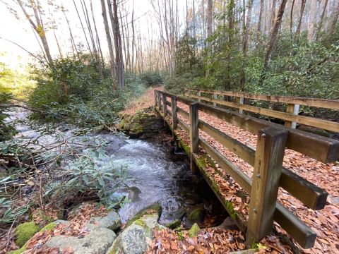The One Loop Trail In North Carolina That's Perfect For A Short Day Hike, No Matter What Time Of Year