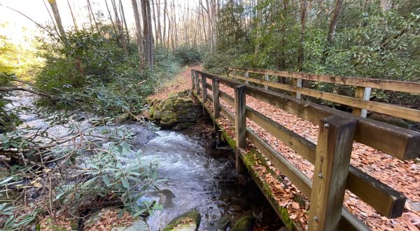 The One Loop Trail In North Carolina That’s Perfect For A Short Day Hike, No Matter What Time Of Year
