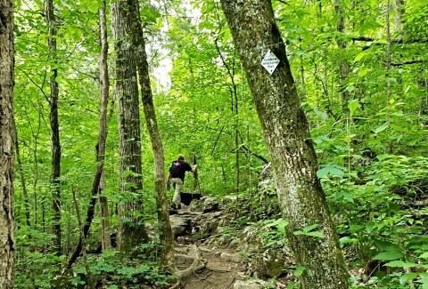 The One Loop Trail In Alabama That's Perfect For A Short Day Hike, No Matter What Time Of Year