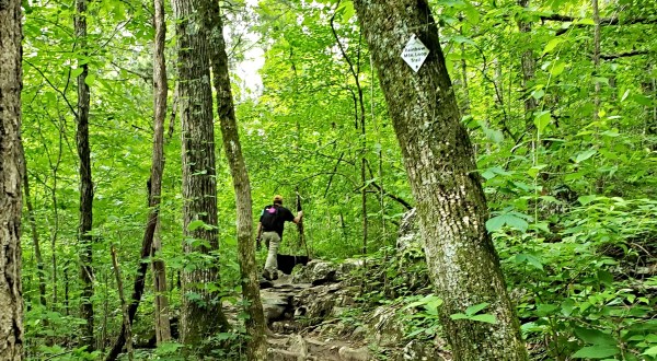 The One Loop Trail In Alabama That’s Perfect For A Short Day Hike, No Matter What Time Of Year