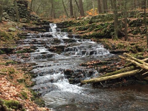 Spend The Day Exploring Dozens Of Waterfalls In New Jersey's Water Gap Recreation Area