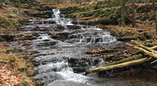 Spend The Day Exploring Dozens Of Waterfalls In New Jersey’s Water Gap Recreation Area