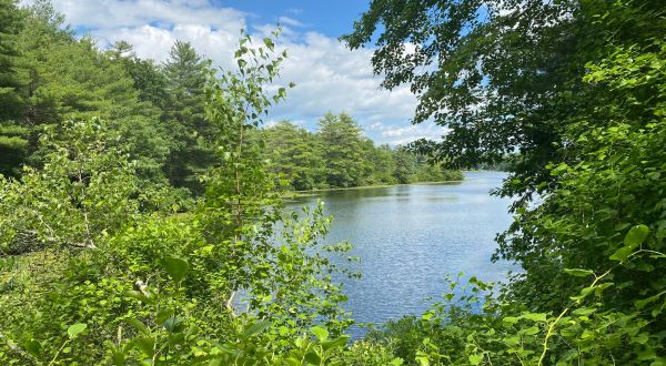 Connect With Mother Nature When You Visit Any Of These 7 Breathtaking Parks In Massachusetts