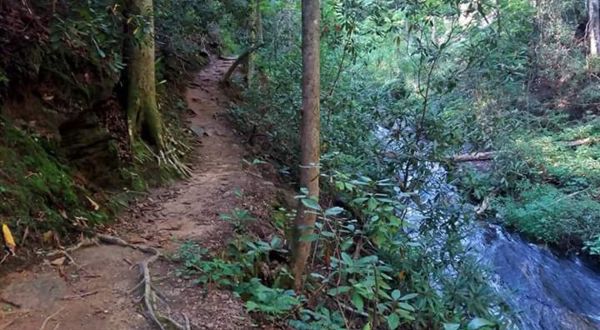 The Easy 2.3-Mile Twin Falls Upper Trail Will Lead You Through The South Carolina Forest