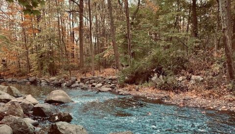 The Easy 1-Mile Rahway and Maple Falls Trail Loop Will Lead You Through The New Jersey Woodlands