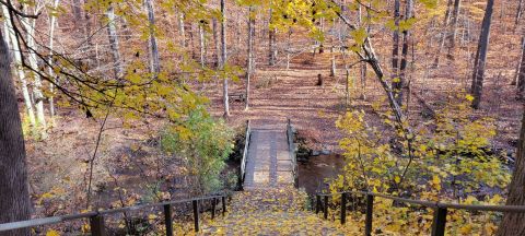 The One Loop Trail In New Jersey That's Perfect For A Short Day Hike, No Matter What Time Of Year
