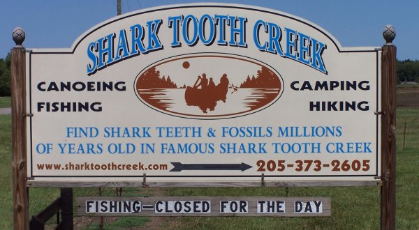 You’ll Discover Loads Of Shark Teeth In This Rural Alabama Creek