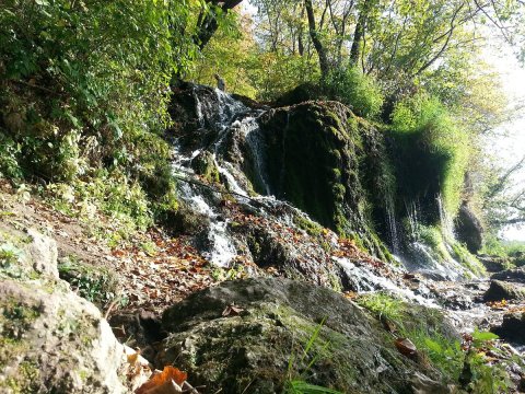 Malanaphy Falls Trail Is A Beginner-Friendly Waterfall Trail In Iowa That's Great For A Family Hike