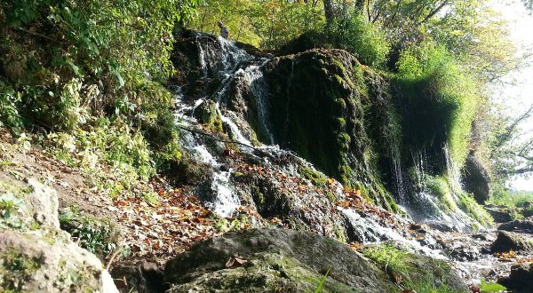 Malanaphy Falls Trail Is A Beginner-Friendly Waterfall Trail In Iowa That’s Great For A Family Hike