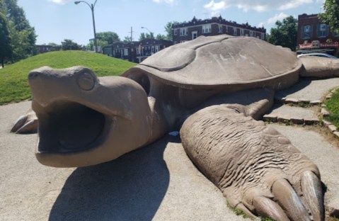 There Are Giant Turtles Hiding At Forest Park In Missouri Just Like Something Out Of A Storybook