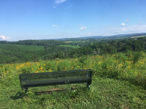 Hunt For Wildflowers On The Beautiful Trexler Border Trail In Pennsylvania