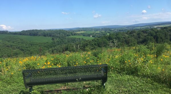 Hunt For Wildflowers On The Beautiful Trexler Border Trail In Pennsylvania