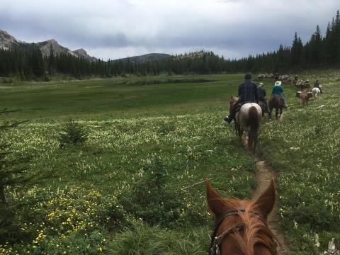 Take An Eco-Tour With Big Sky Safaris, A Unique Way To Connect With Montana Nature