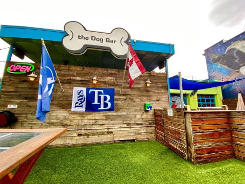 Order A Pint While You Play With Puppies At This Only-In-Florida Dog Bar
