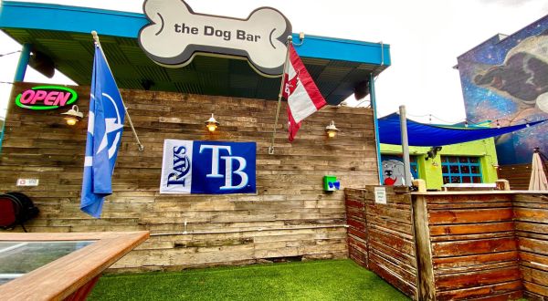 Order A Pint While You Play With Puppies At This Only-In-Florida Dog Bar