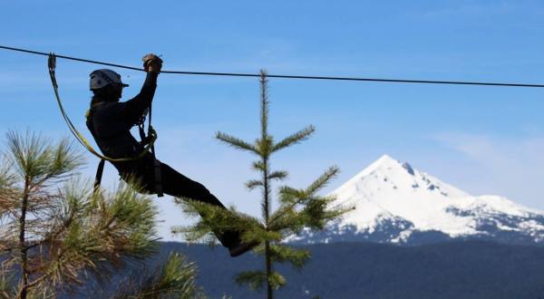 This Is The Only Zipline Located On National Forest Land, And It’s An Adventure For Your Oregon Bucket List