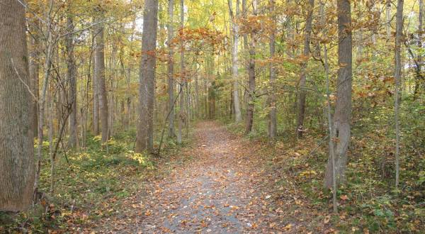 There’s A Creek Hiding In An Delaware Forest Where You Can Camp Year-Round