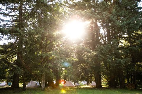 You Can Camp Overnight At This Remote Farm In Oregon