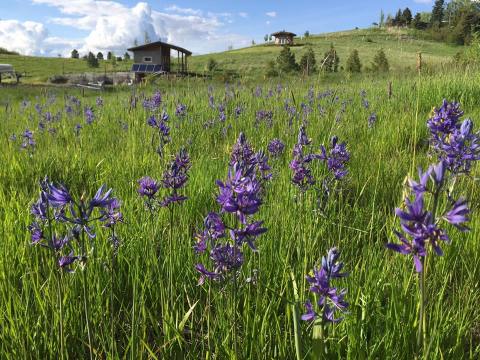 3 Idaho Nature Centers That Make Excellent Family Day Trip Destinations