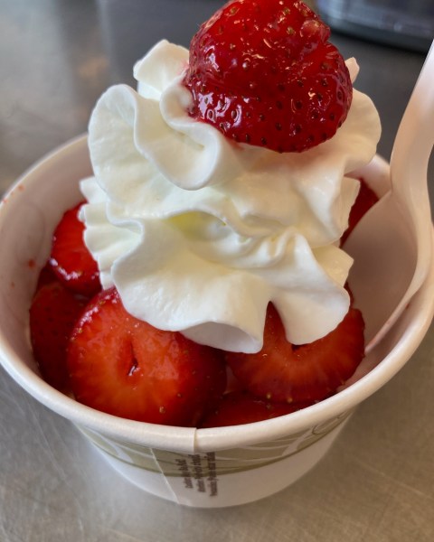 The Best Strawberry Shortcake In The World Is Located At This Vermont Farm Market