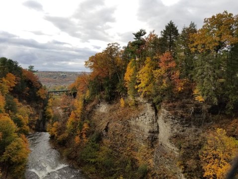 The Exhilarating Fall Creek Suspension Bridge Hike In New York That Everyone Must Experience At Least Once
