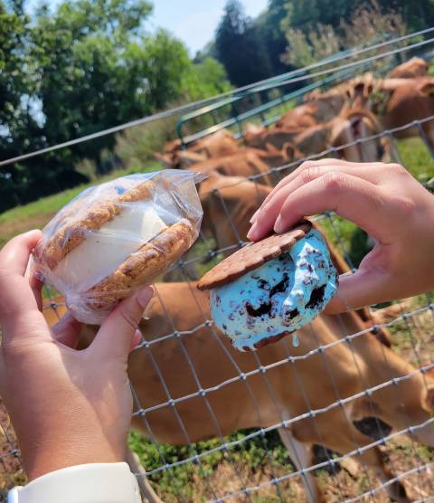 The Best Homemade Ice Cream In The World Is Located At This Delaware Dairy Farm