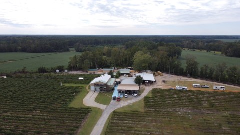 There's A Remote Winery In South Carolina Where You Can Spend The Night