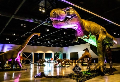 The Dinosaurs & Dragons Tour Is Stopping In Florida For A Limited Time Only