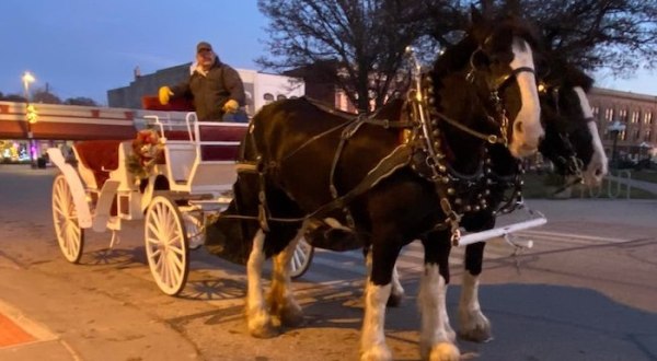 Take A Carriage Ride Through The Countryside For A Truly Unique Iowa Experience