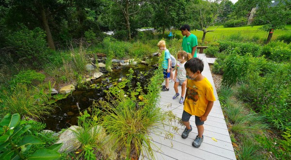 5 Rhode Island Nature Centers That Make Excellent Family Day Trip Destinations