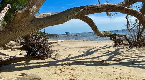 This Secluded Beach In South Carolina Is So Worthy Of An Adventure