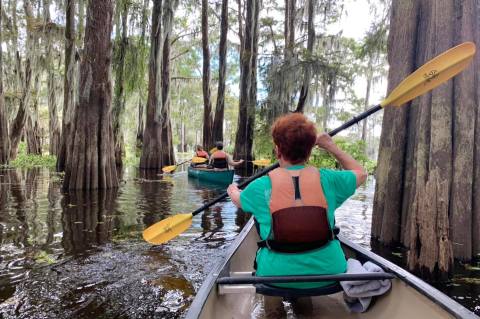 You'll Have The Most Louisiana Day Ever When You Kayak Through The Atchafalaya River Basin