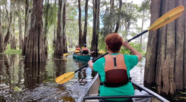 You’ll Have The Most Louisiana Day Ever When You Kayak Through The Atchafalaya River Basin