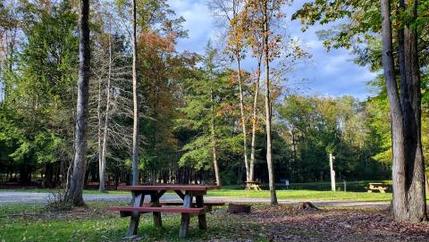 There's A Park Hiding In A Pennsylvania Forest Where You Can Camp Year-Round