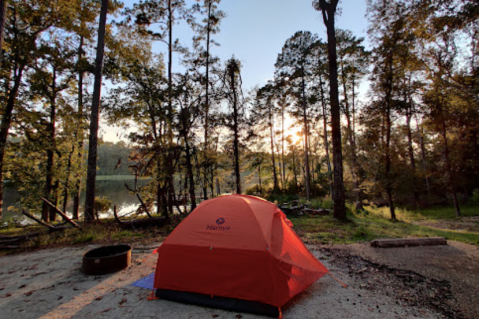 There's A Lake Hiding In A Louisiana Forest Where You Can Camp Year-Round
